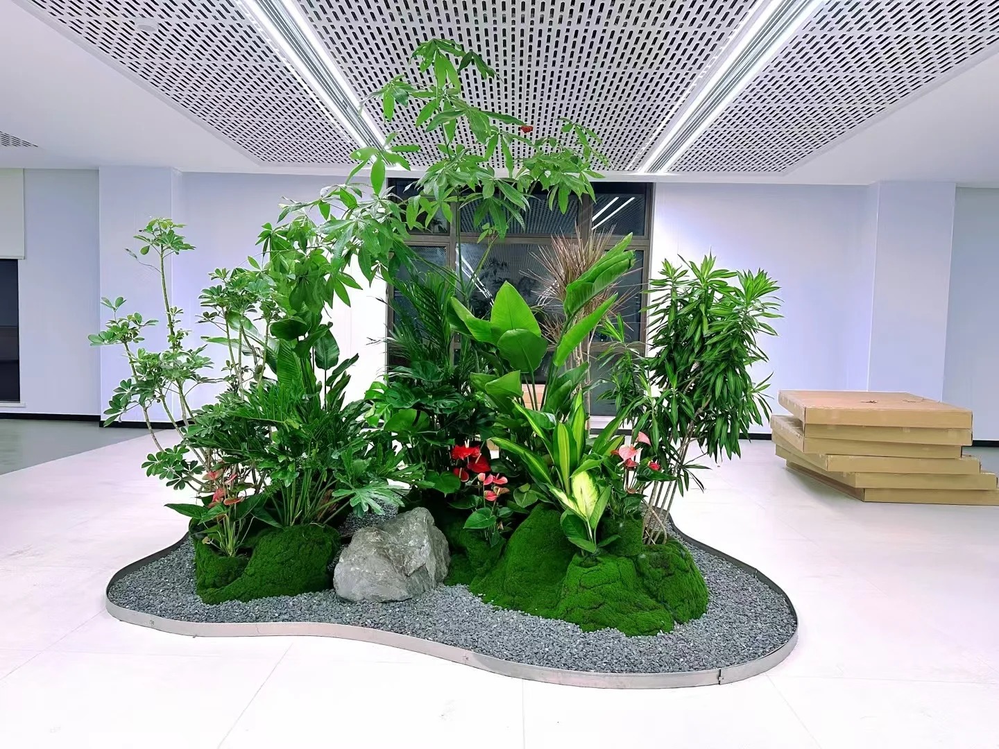 余姚盆景租摆哪家好?资深行家为你揭秘!