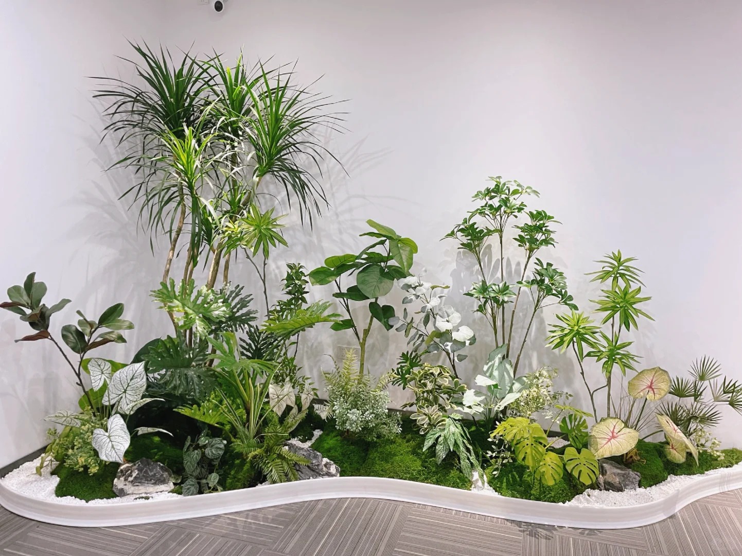 余姚盆景租摆哪家好?资深行家为你揭秘!